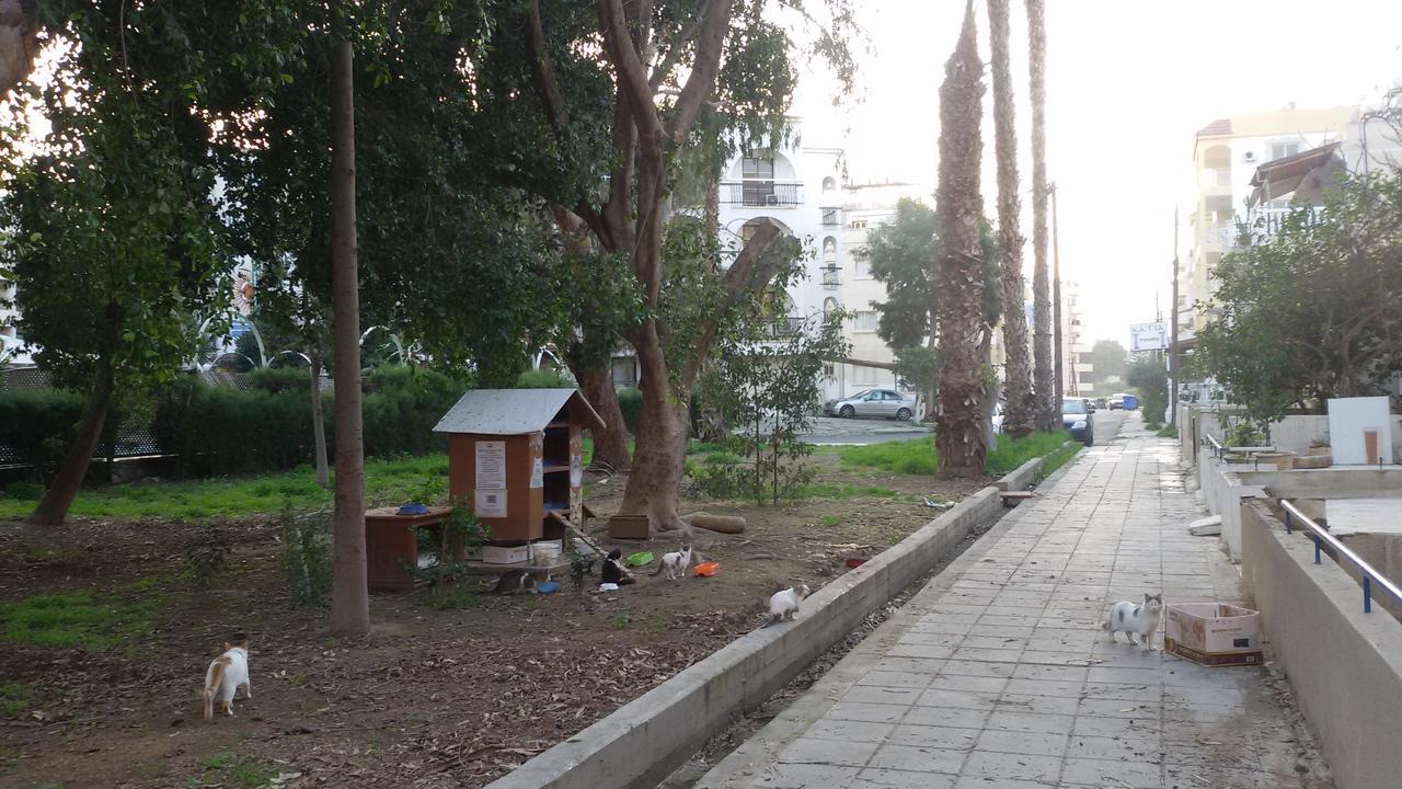 Lca2 Flat For You Apartment Larnaca Exterior foto